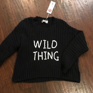 WildFox Wild Thing Knit sweater.
